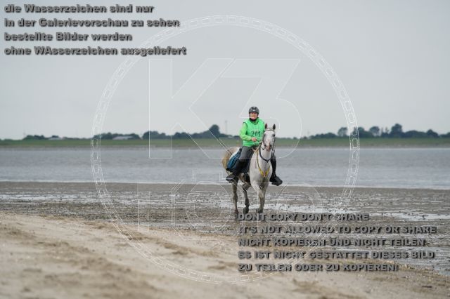 s_K3F04670.JPG
